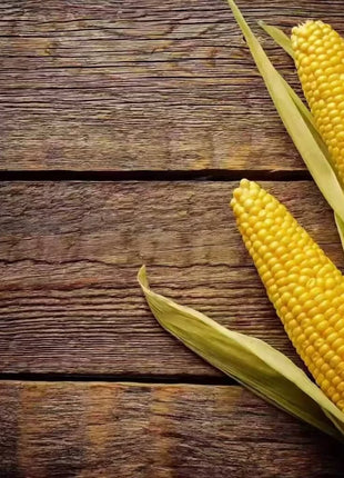 Bantam 12 Row Corn – 30 Seeds