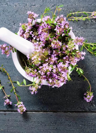 Creeping Thyme – 250 Seeds