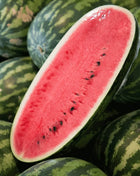 Congo Watermelon – 25 Seeds