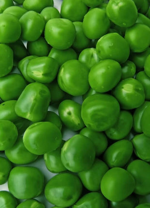 Sugar Daddy Peas – 20 Seeds