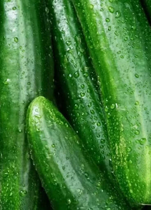 Beit Alpha Cucumber – 30 Seeds