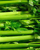 Tendercrisp Celery – 300 Seeds