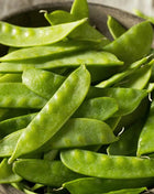 Oregon Sugar II Snow Peas – 25 Seeds