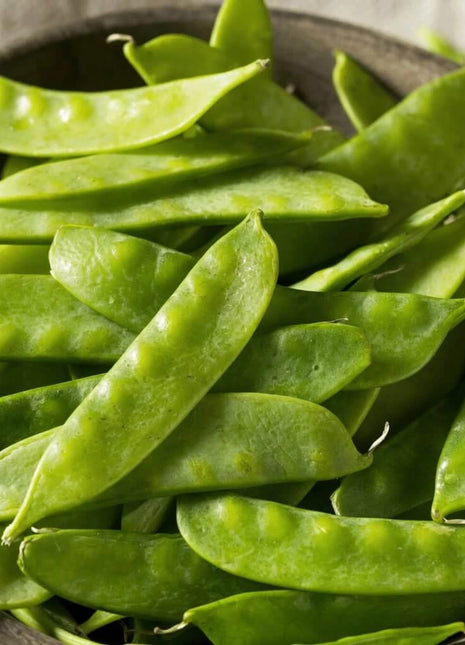 Oregon Sugar II Snow Peas – 25 Seeds