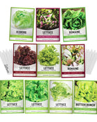 Salad Greens Lettuce Seed Assortment | 10 Variety Pack