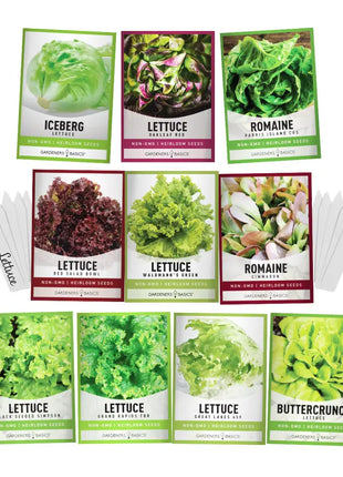 Salad Greens Lettuce Seed Assortment | 10 Variety Pack