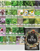 Popular Herb Seeds for Planting | 35 Variety Pack