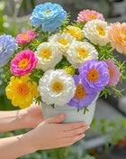 🌸 Double Flowered Moss Rose Seeds – 🌿Perennial Flower Seeds / Large Flowers / Easy to Grow