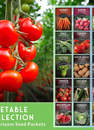 15 Variety Vegetable Garden Seed Collection – Non-GMO Heirloom Survival Seed Vault for Year-Round Growing
