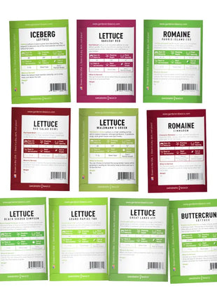 Salad Greens Lettuce Seed Assortment | 10 Variety Pack