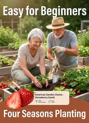 Potted strawberry seedlings for all seasons