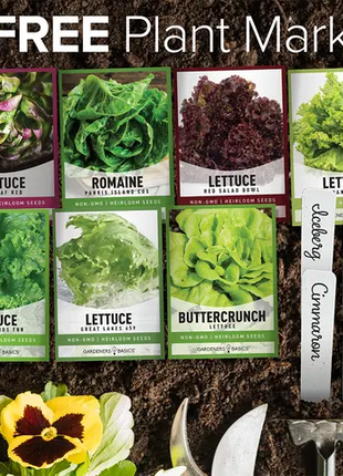 Salad Greens Lettuce Seed Assortment | 10 Variety Pack
