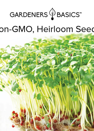 Waltham 29 Broccoli Sprouting Seeds - 1 Pound