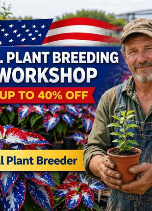 🎉Last Day Sale Off 49%🎉Celebrate America's 250th 🌱Premium Shade-Loving Hosta Seeds