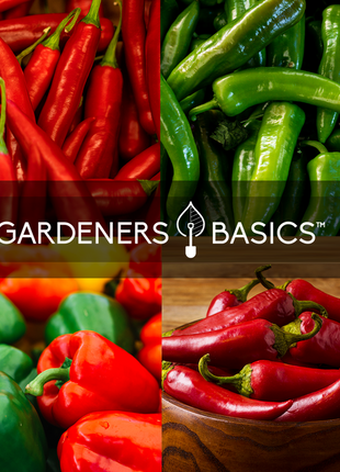 Pepper Seed Assortment | 8 Variety Pack