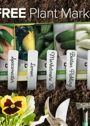 Cucumber Seed Assortment | 8 Variety Pack