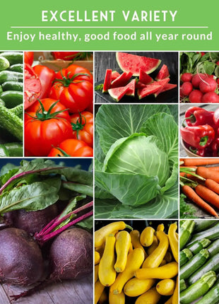 15 Variety Vegetable Garden Seed Collection – Non-GMO Heirloom Survival Seed Vault for Year-Round Growing
