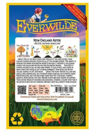 New England Aster Seeds