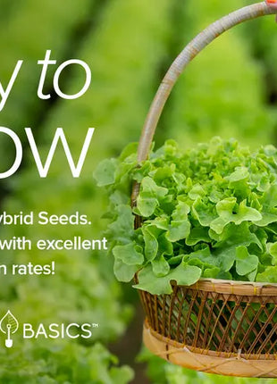 Salad Greens Lettuce Seed Assortment | 10 Variety Pack