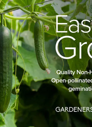 Cucumber Seed Assortment | 8 Variety Pack
