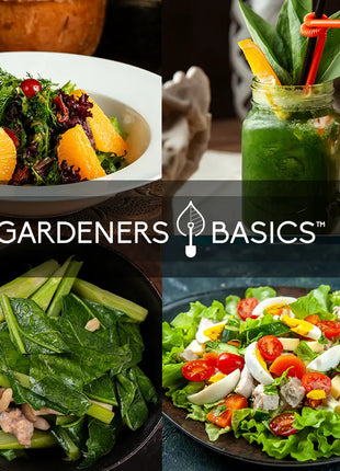Leafy Green Salad Seeds | 8 Variety Pack