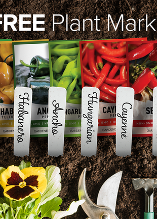 Pepper Seed Assortment | 8 Variety Pack