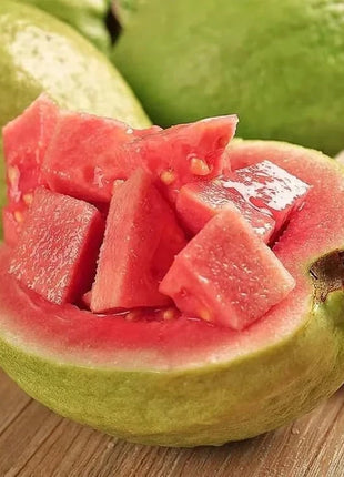 🍈Tropical Guava Growing Kit for Pots & Gardens