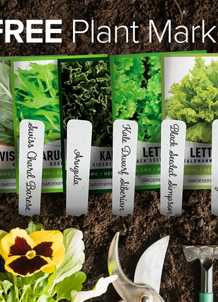 Leafy Green Salad Seeds | 8 Variety Pack