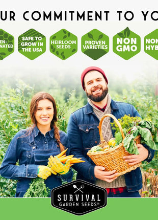 15 Variety Vegetable Garden Seed Collection – Non-GMO Heirloom Survival Seed Vault for Year-Round Growing