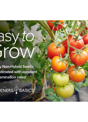 Heirloom Tomato Seeds for Planting | 16 Variety Pack