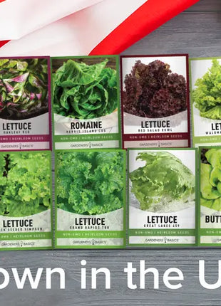 Salad Greens Lettuce Seed Assortment | 10 Variety Pack