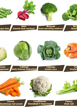 Heirloom Seed Garden 33 Variety Pack Non-GMO Open Pollinated Seeds Over 30,000 for Multiple Seasons USA Grown Freshness Sealed Bag