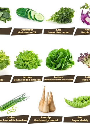Heirloom Seed Garden 33 Variety Pack Non-GMO Open Pollinated Seeds Over 30,000 for Multiple Seasons USA Grown Freshness Sealed Bag