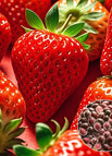 Red Strawberry Seeds（500seeds/bag）