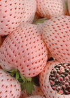 White Strawberry Seeds（500seeds/bag）