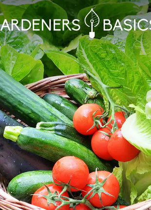 Seed Safe Survival Seed Kit - 35 Variety Pack