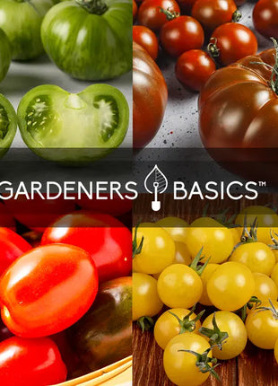 Heirloom Tomato Seeds for Planting | 16 Variety Pack