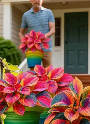 🎉Last Day Sale Off 49%🎉Celebrate America's 250th 🌱Premium Shade-Loving Hosta Seeds