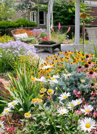 Mixed-perennial-flowers-seeds-over-60-kinds-mixed