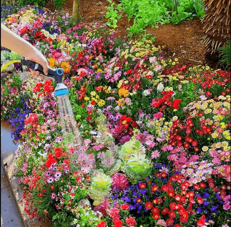 Mixed-perennial-flowers-seeds-over-60-kinds-mixed