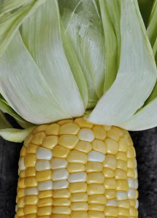 Peaches & Cream Corn – 30 Seeds
