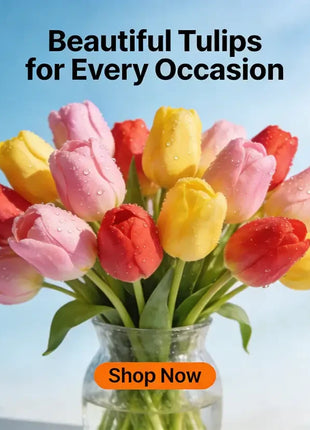 Tulip Seeds - Grow a Stunning Spring Garden Full of Color