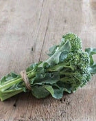 Di Cicco Broccoli – 200 Seeds
