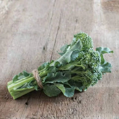 Collection image for: Broccoli