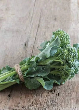 Di Cicco Broccoli – 200 Seeds