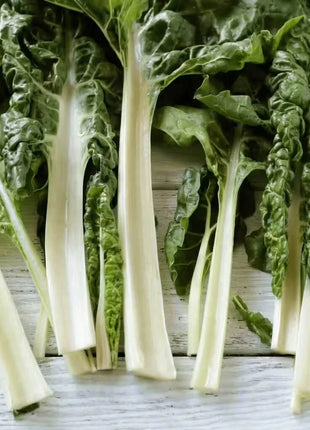 Lucullus Swiss Chard – 100 Seeds