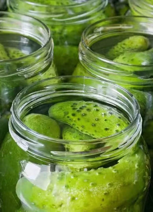 Boston Pickling Cucumber – 30 Seeds
