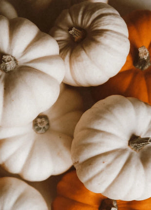 Gooligan Pumpkin – 10 Seeds