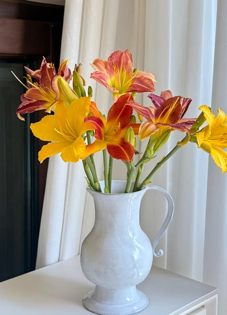 Large-Flowered Daylily Seeds-Big Bloom Garden Favorite