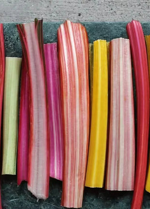 Rainbow Swiss Chard – 150 Seeds